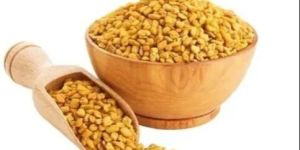 Fenugreek Seeds