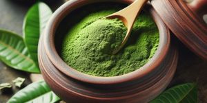 MANGO LEAF TEA POWDER