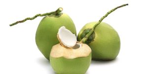 Green Tender Coconut