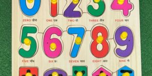 Wooden Educational Toy