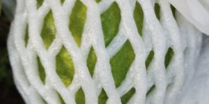 Fresh Guava