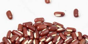 High Quality Dark Red Long Shape Kidney Beans