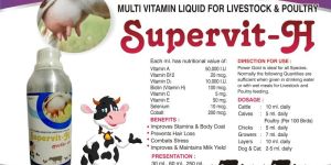 Multi Vitamins Animal Feed