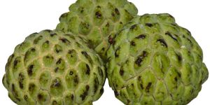Fresh Custard Apple