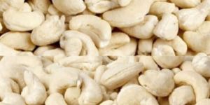 Cashew Nut w320