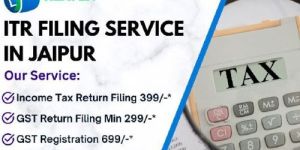 Tax Preparation Services