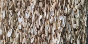 JH Split Cashew Nuts