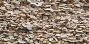 JK Broken Cashew Nuts