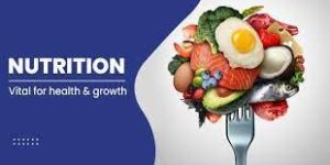 Nutrition Guidance Support Service