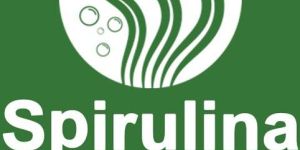 Spirulina