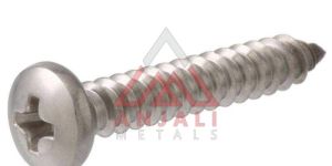 SS Pan Phillips Screws