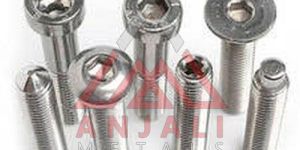 Stainless Steel Fastener
