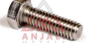 Stainless Steel Hex Bolt