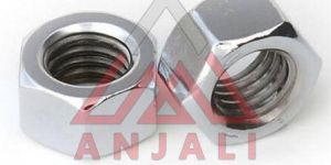 Stainless Steel Nuts