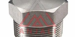 Stainless Steel Pipe Plug