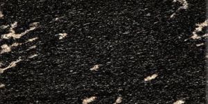 Fish Black Granite Slab