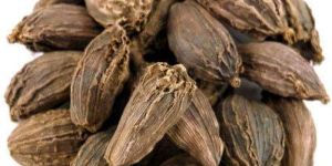 Black Cardamom