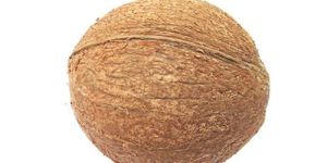 Fully Husked Coconut