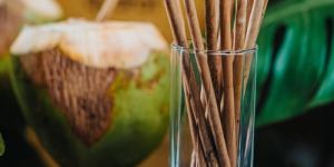Coconut Leaf Drinking Straw