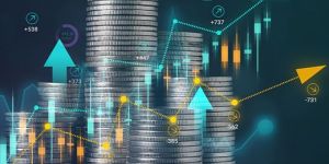 Capital Raising Services