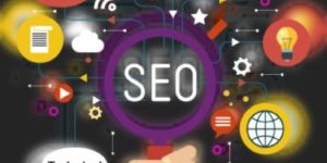 Web Maintenance Services