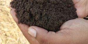 Vermicompost