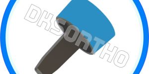 1 Mm Radial Prosthesis Head