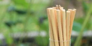 Bamboo Straws