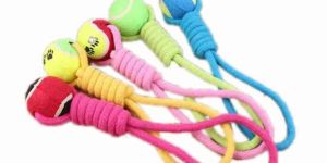 Dog Toys