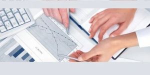 Financial Project Report Consultation Service