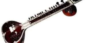 Musical Sitar/ Female Sitar