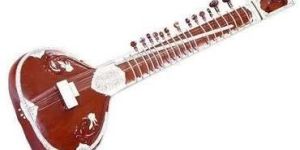 Peacock Design Sitar