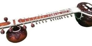 Pt Ravi Shankar Double Tumba Professional Sitar