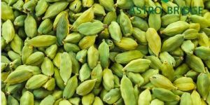 Cardamom