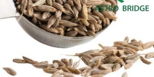 Cumin Seeds