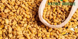 Fenugreek