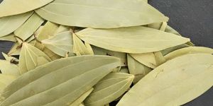 Bay Leaf