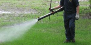 Mosquito Control Treatment Service