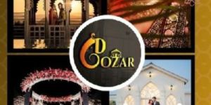 Birthday Party Event Organiser