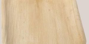 10 Inch Square Areca Leaf Plate