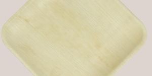 8 Inch Square Areca Leaf Plate