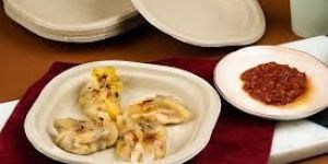 Disposable Sugarcane Bagasse Plate