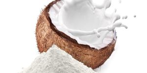 Coconut Milk Powder
