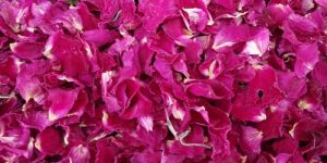 Dried Rose Petals