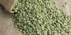 Green Coffee Beans