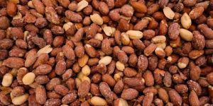 Groundnut