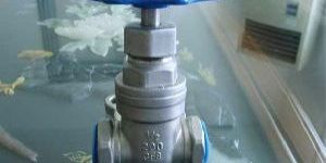Stainless Steel Gate Valves
