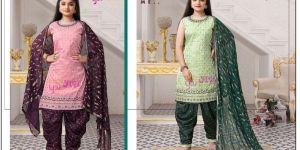 Ladies Fancy Punjabi Suits