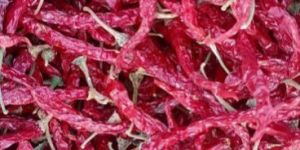 Syegenth 5531 Stemless Dry Red Chilli