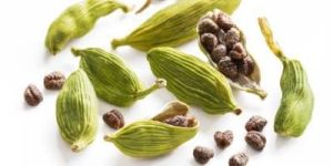Green Cardamom